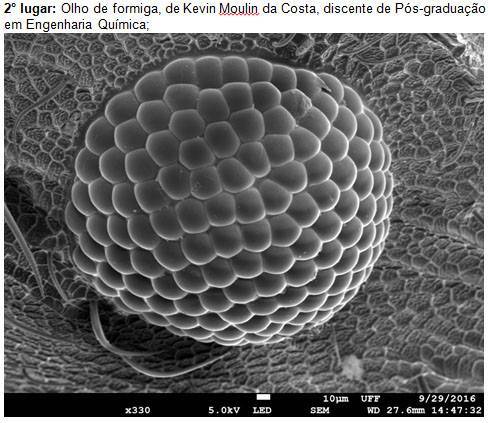 46482440_2448568338503080_7662955962327629824_n.jpg 46482440_2448568338503080_7662955962327629824_n.jpg